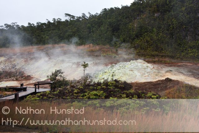 A living chemistry set